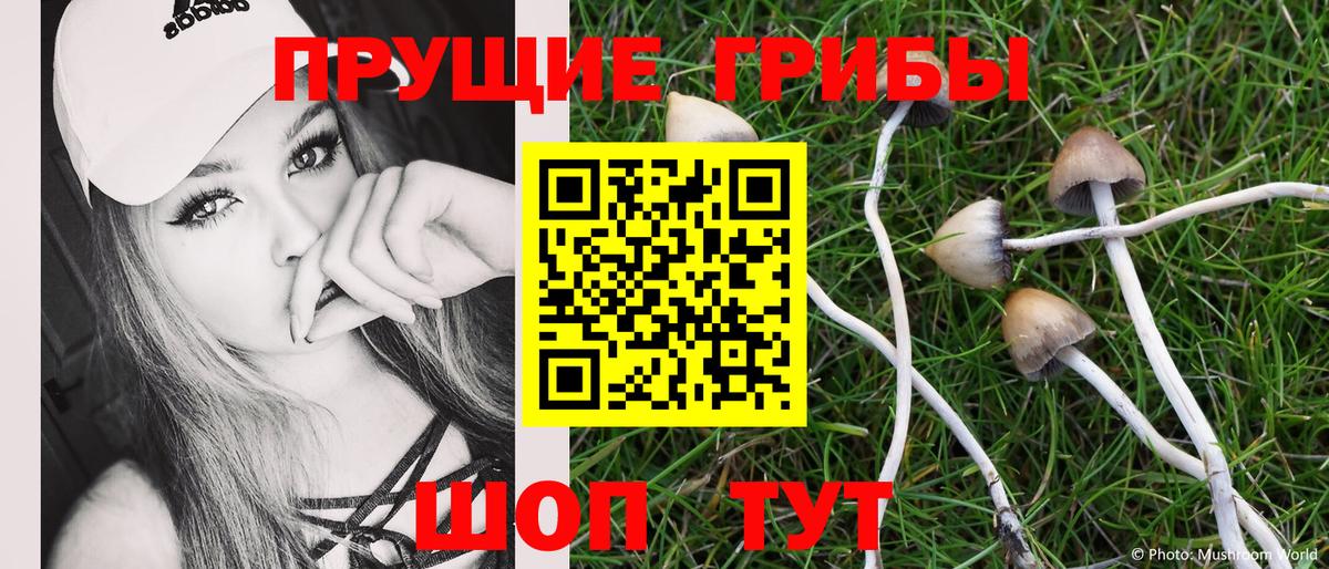Псилоцибиновые грибы Cubensis  Вход с VPN  Галлюциногенные грибы мицелий  Батайск 